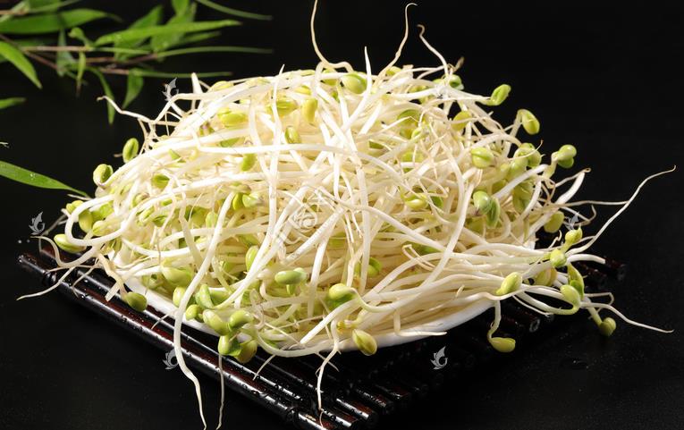 無公害綠色豆芽，怎么生產(chǎn)出來的？全套生產(chǎn)過程如此方便智能